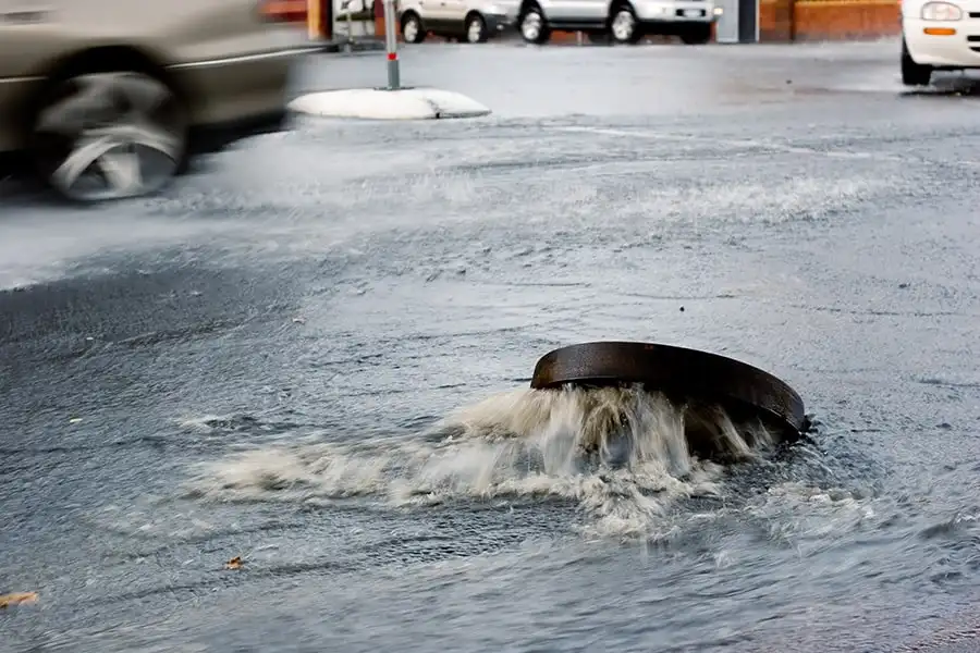 OpenFlows Flood